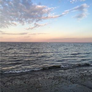 Meet your Posher, Sadie